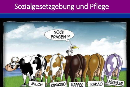 Sozialgesetzgebung in der Pflege Teil 1