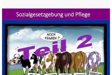Sozialgesetzgebung in der Pflege &ndash; Teil 2
